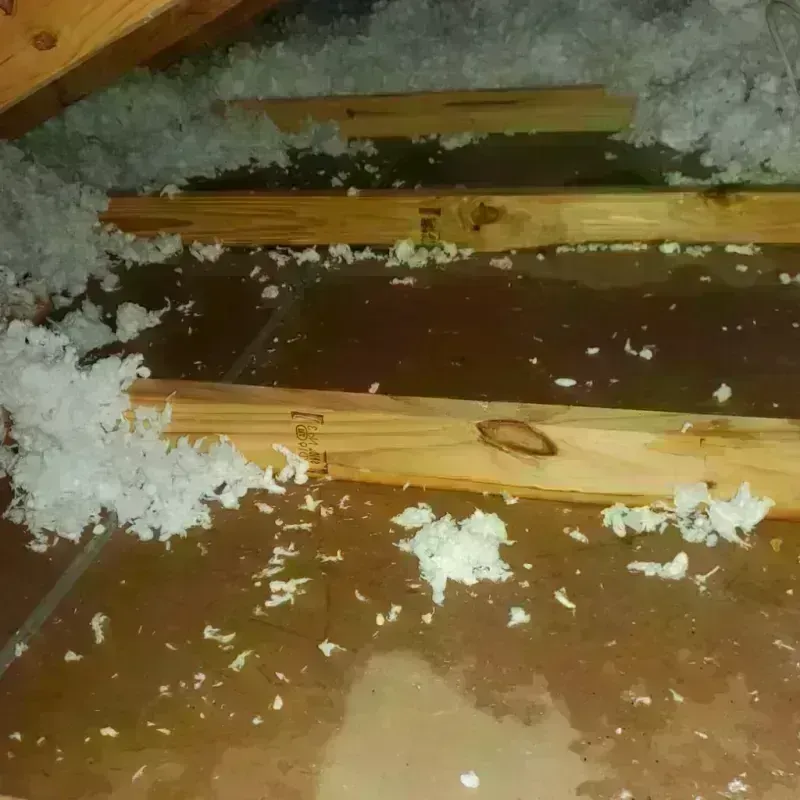 Attic Water Damage in McGregor, FL