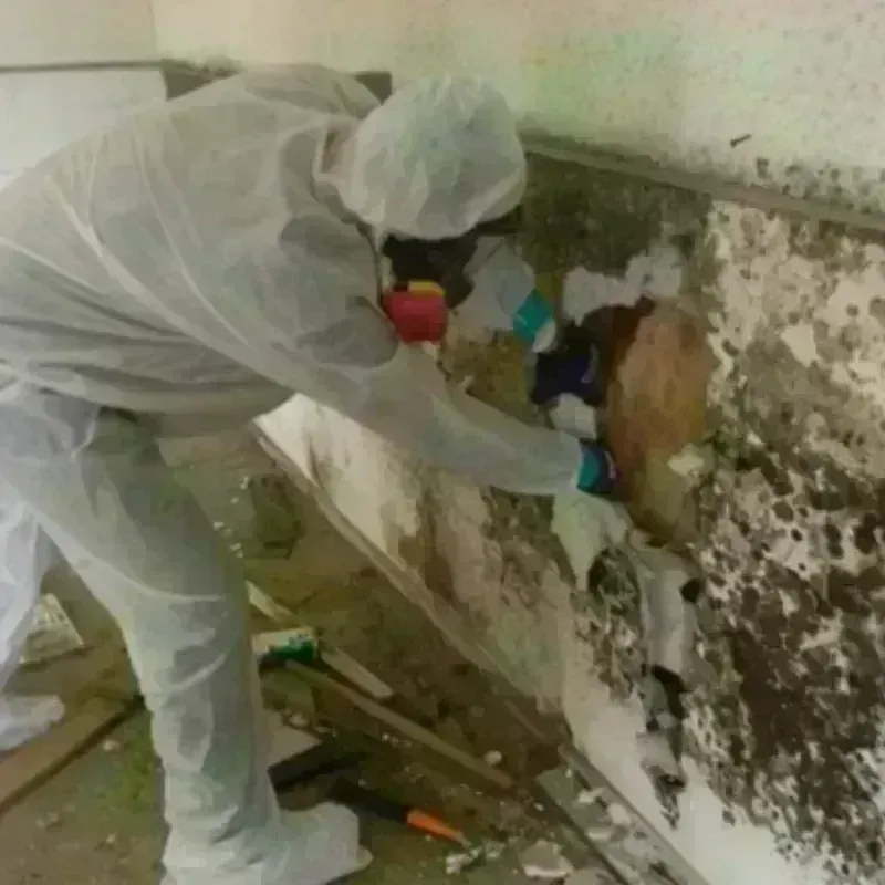 Mold Remediation and Removal in McGregor, FL