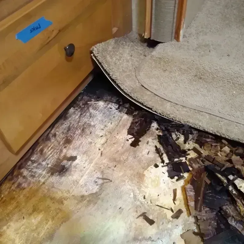 Wood Floor Water Damage in McGregor, FL